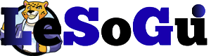 LESO SHOP
